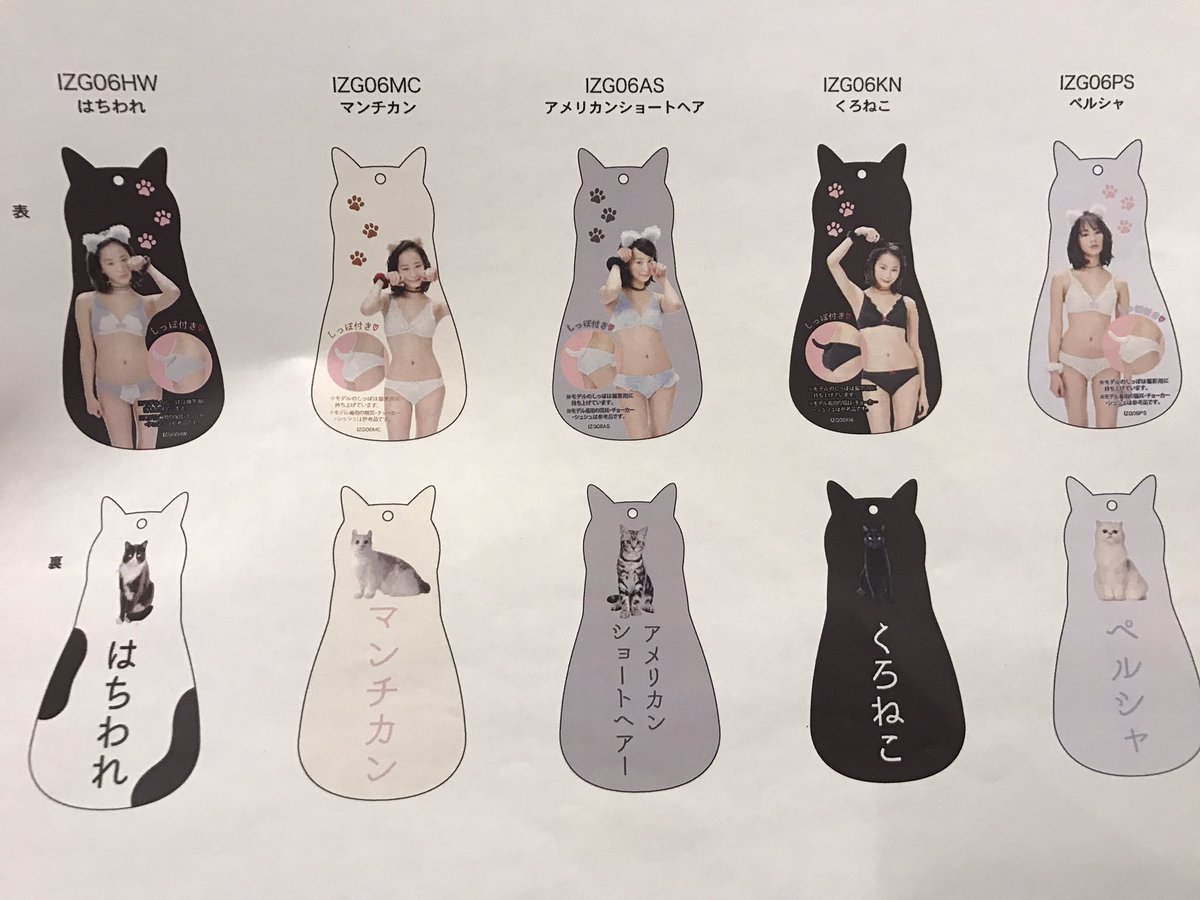 前田 リサ 告知 しまむらランジェリー なりきりシリーズ ぶらにゃー のモデルを前田リサが務めましたようです しまむら全国店舗にて今日4 5から発売されている猫ブラの商品タグやらチラシやらpopなどに 私っぽい猫が載っているようです お好きな