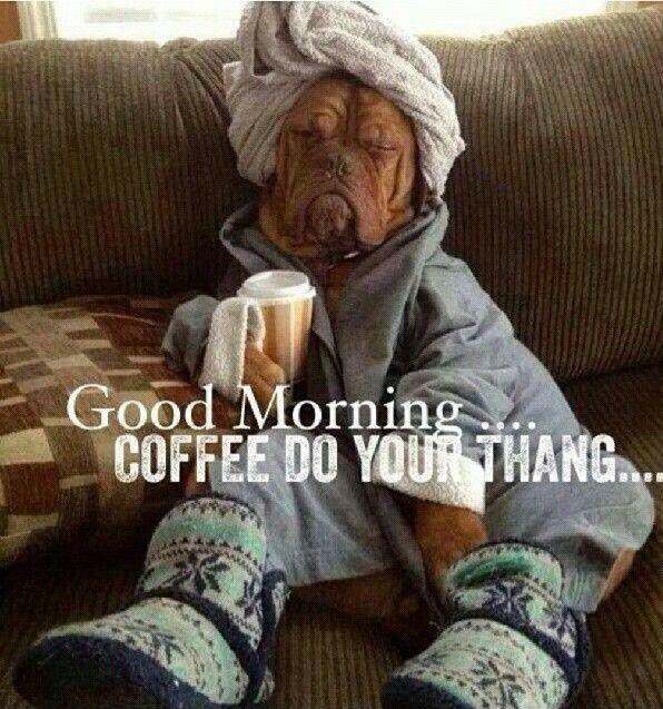 Cleanstartltd's tweet image. Good morning from the Cleanstartltd team! Have a great day people 😎