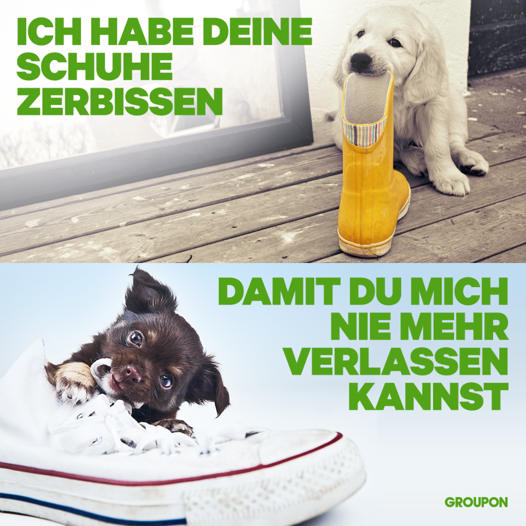 groupon_ber's tweet photo. Kannst Du ihren Unschuldsblicken auch nie widerstehen? 🐶 #HundeLiebe #DogLove https://t.co/3kdMcy7IAZ
