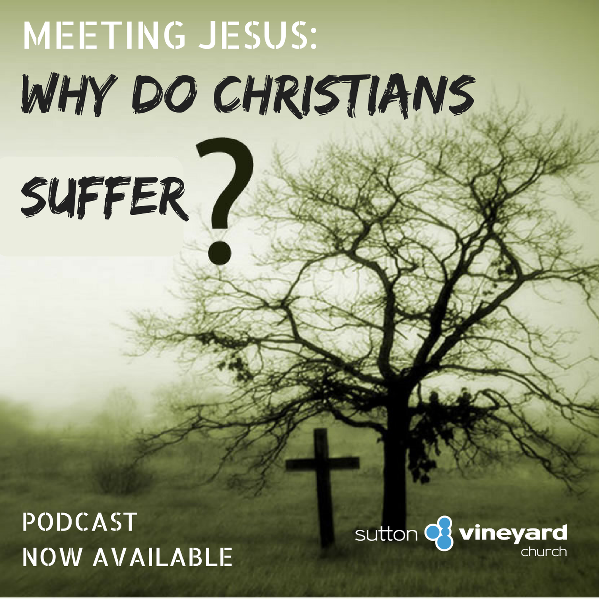 Sutton Vineyard tweet media