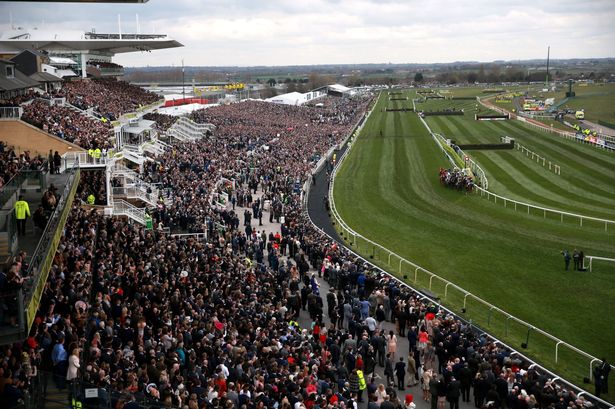 businessviewops's tweet photo. Who is watching the #GrandNational this weekend?  Having a bet or totally against it? https://t.co/9OXdlul9vK