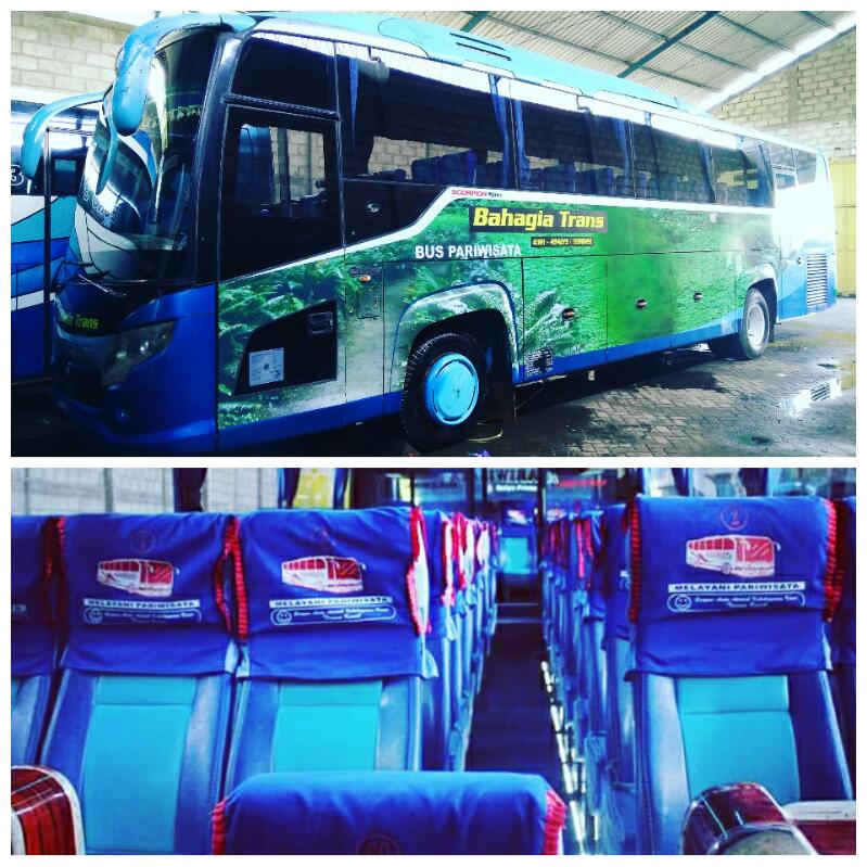 Bahagiatrans's tweet photo. Edisi sabtu minggu.....  Ayoo yang belum dapet bus.... 
Direct call/WA: 081295750112
https://t.co/VIMixIEmLp https://t.co/ndNdp2t2Yu