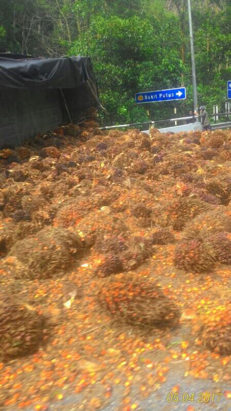 n9Jangx's tweet photo. Bukit Putus - Trafik bergerak perlahan, ke arah Ulu Bendul terdapat lori sawit terbalik.
credit #RTN9 https://t.co/HTj1mJSVRe