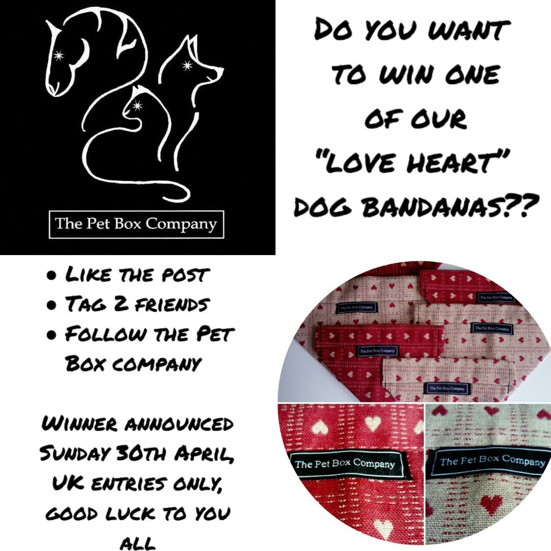 The Pet Box Company tweet media