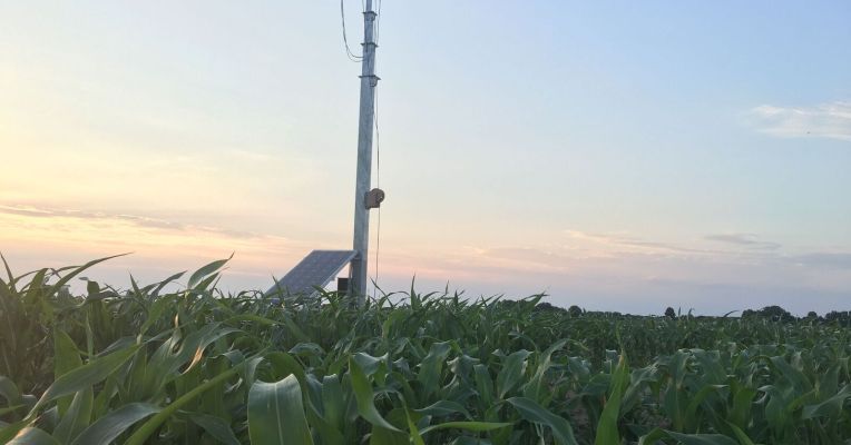STEMconnector's tweet photo. Researchers use a pair of robotics platforms in hopes of developing drought-resistant crops via @techcrunch #STEMAg https://t.co/lzOlsWEEwT https://t.co/8v4Pdjfsv7