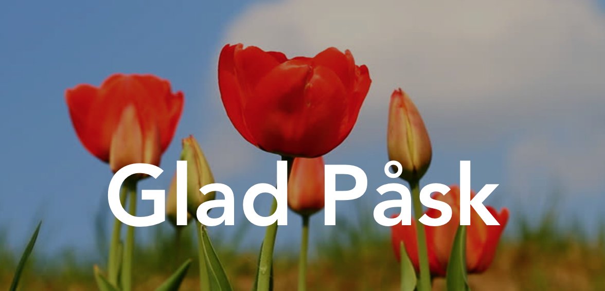 InvoiceMobile's tweet image. Glad Påsk önskar vi  @InvoiceMobile alla #företagare #fakturering #arbetsorder #order #offert #fakturor #Entrepreneur #entreprenörer