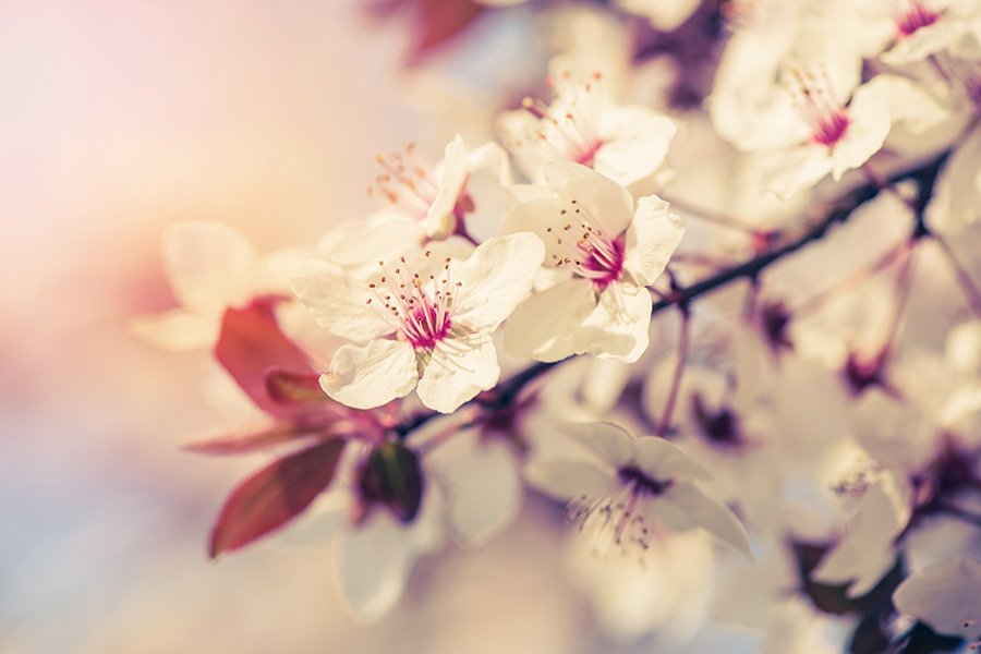 RecruitmentGV's tweet photo. Revealed: Top 10 cities for #recruitment this Spring... https://t.co/WOVBeOOGqF https://t.co/ArHs6DHRMV