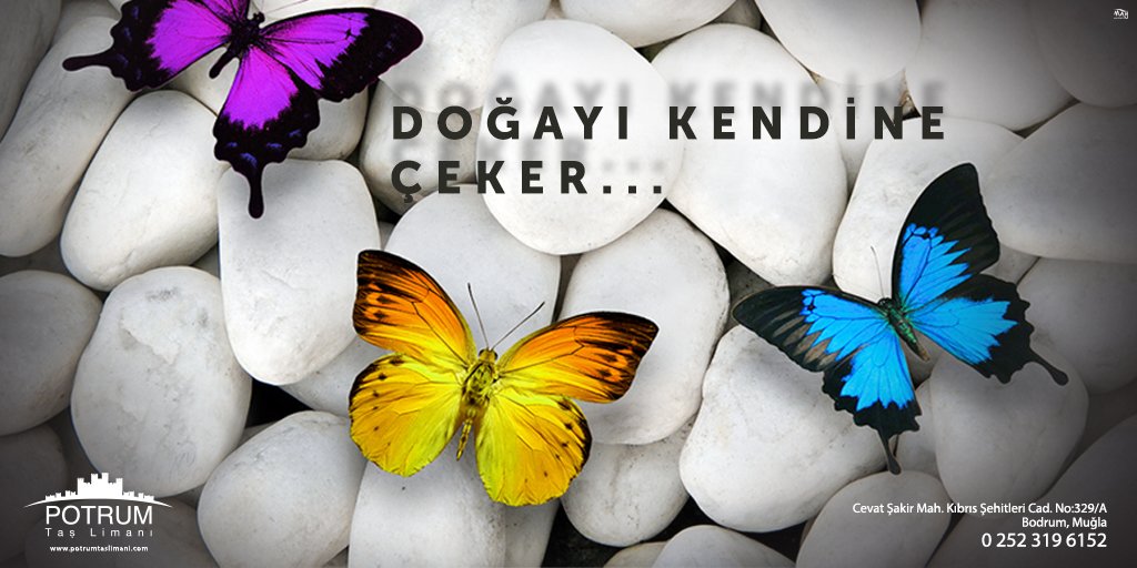 PotrumTasLimani's tweet photo. 0252 319 61 52 https://t.co/9jtGq36aLt
DOĞAYI KENDİNE ÇEKER!
#bodrum #bodrummarina #mayajans #kadıkalesi  #dogaltaş #mermer #dekoratıf #taş https://t.co/BsHwSHJsND