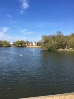 LouSevier_smith's tweet photo. Did someone mention Water @utilitywiseplc  #UTEAM. #UTWwater https://t.co/1arLPf3cLf