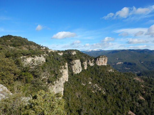 esplaiarciris's tweet photo. Dissabte marxem al Montseny per passar un dia ben diferent, envoltats de naturalesa! Ja us hi heu inscrit? No us perdeu aquesta oportunitat! https://t.co/TcANe0pnks