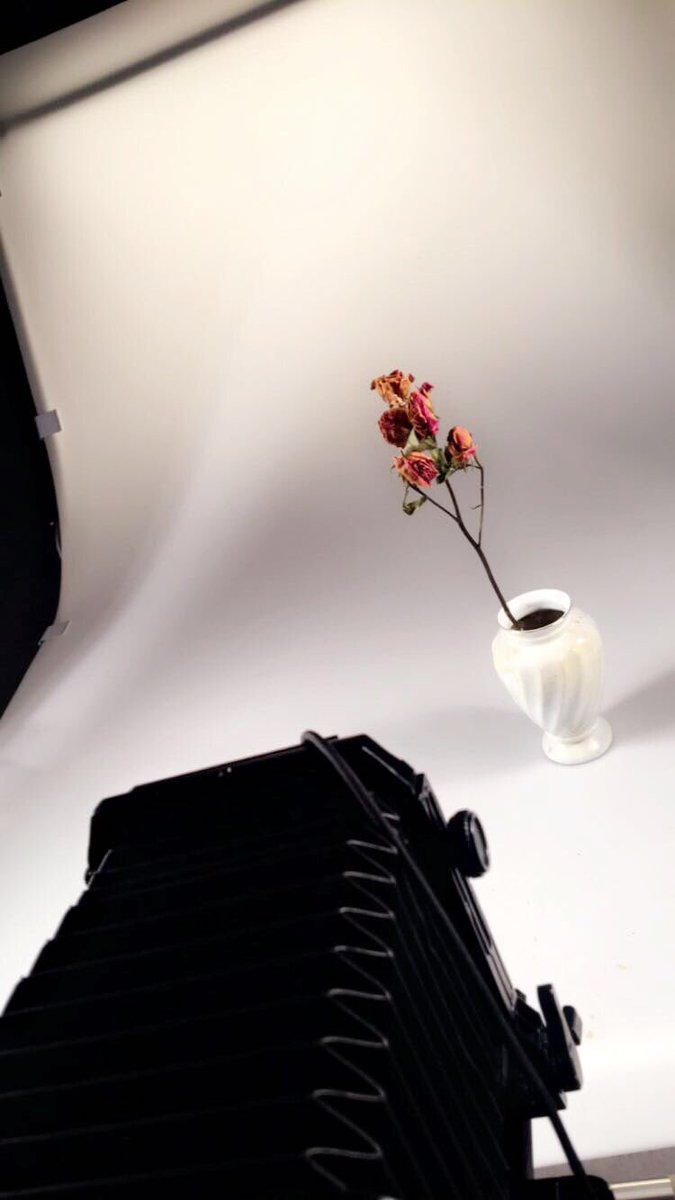 CAPhotography1's tweet photo. Back in the studio with Toyota 5X4 today, shooting towards my finals. #film #cyanotypes https://t.co/T1IOpo0CsG