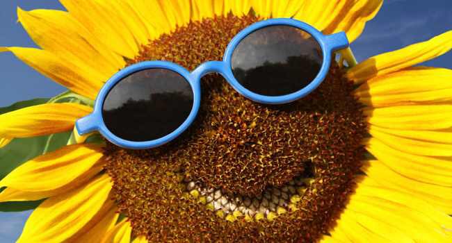 The feeling you get when members of the public walk down the street, discussing your landscaping and enjoying the views. #landscaping