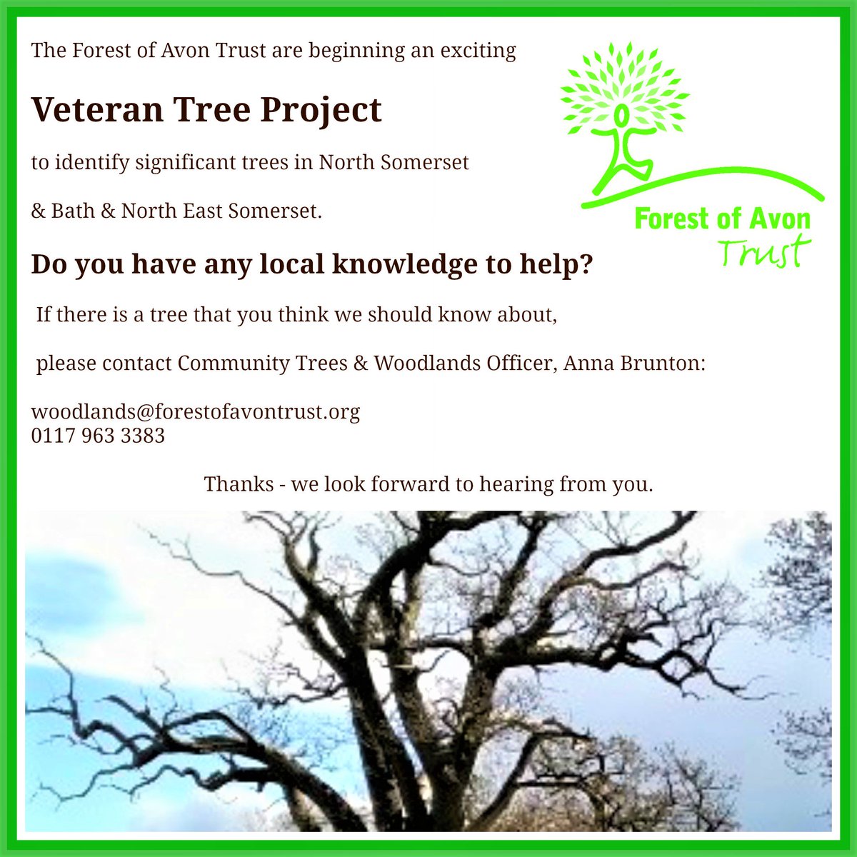 Pls RT Hope to hear from anyone who can help identify significant Trees @BathChron @vegmead @TheBathWI @ben4bath @EnvAgencySW @NESouthWest