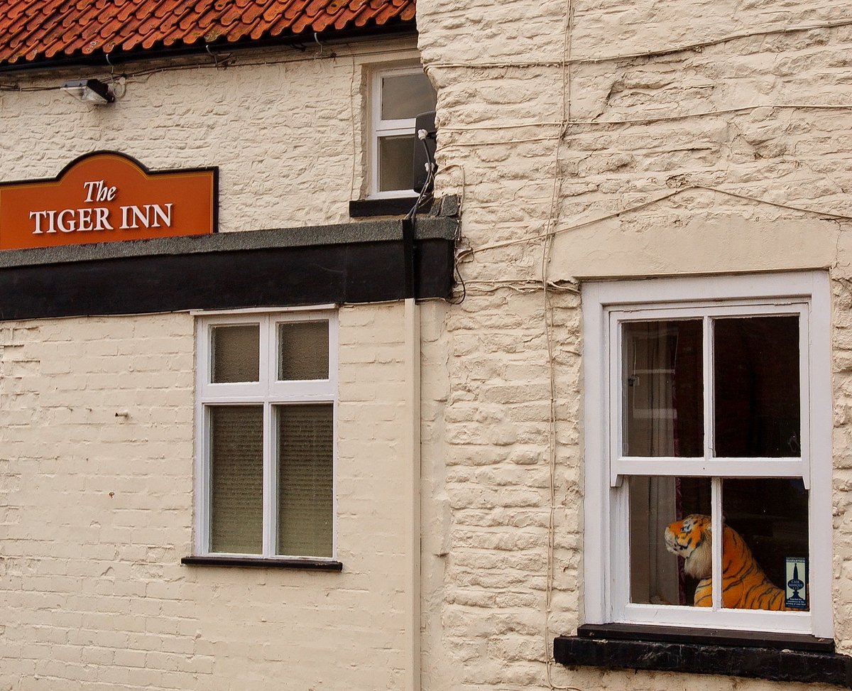 Tiger spotted in Wolds inn - #TigerInn #NorthNewbald featured in new book #TheYorkshireWolds - details here gritstone.coop/books/yorkshir…