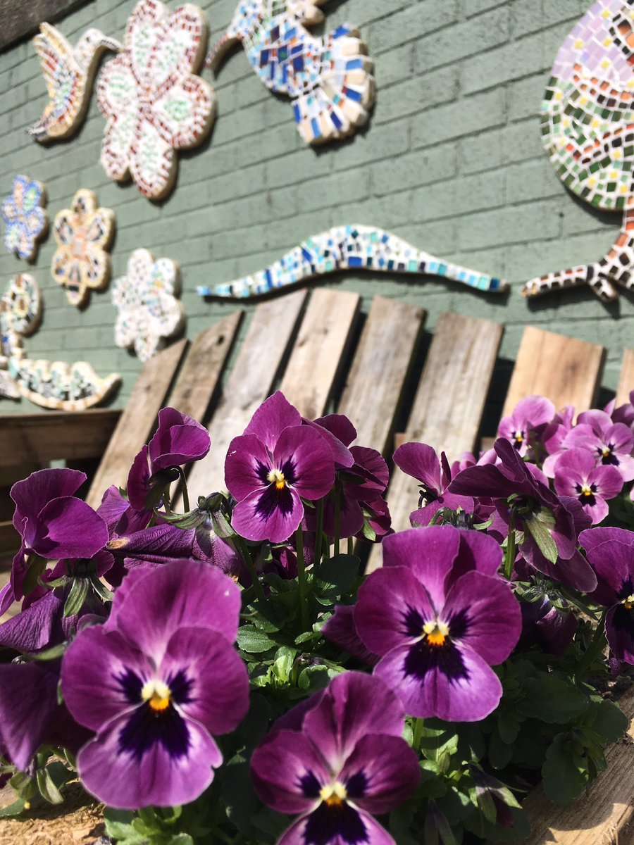 CoLabWelcome's tweet image. What a glorious spring day! Perfect for a well-earned cuppa after a busy morning of meeting and greeting! @CoLabExeter @LearnatECVS