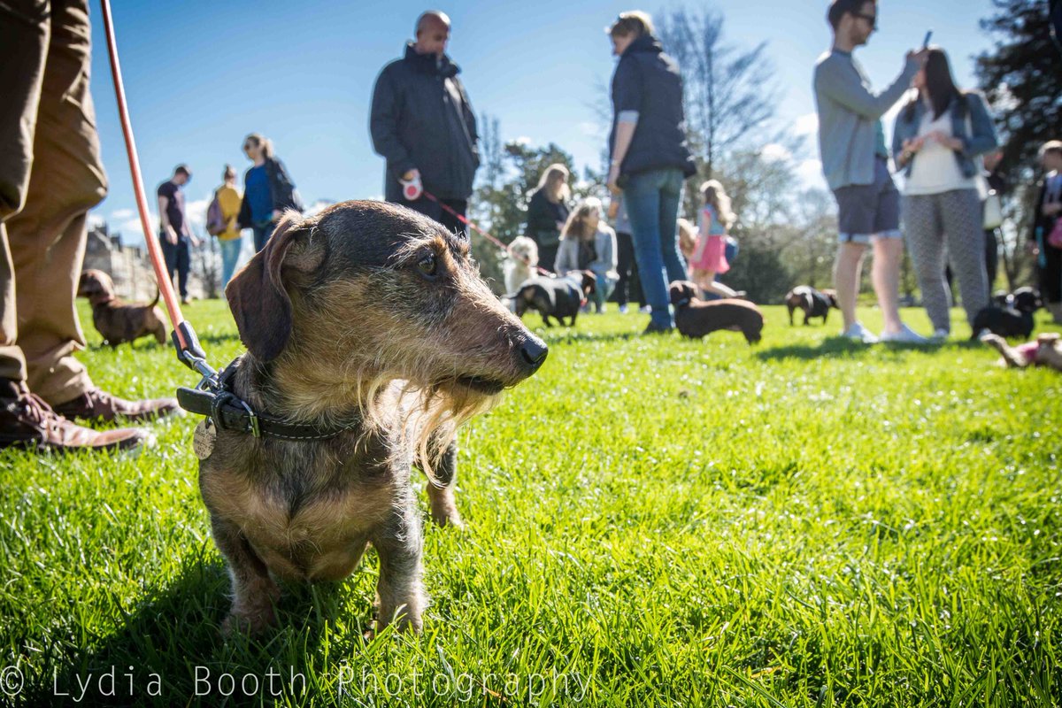 LydiaBoothPhoto tweet media