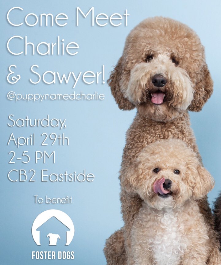 Join us on April 29th at @CB2tweets East Side with @FosterDogsNYC! Hope to see you there!
#MeetAndGreet #DogsOfInstagram #NYC #Events