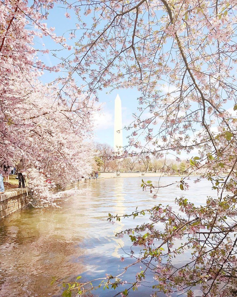 🌸✏️🌸 ift.tt/2oHRlE0