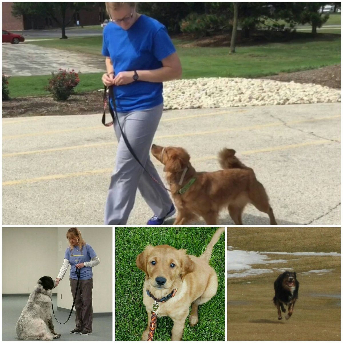 Think Pawsitive tweet media