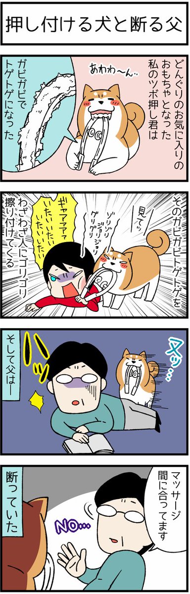 宮路ひま 押し付ける犬と断る父 柴犬どんぐり コロコロまんが日記 T Co Epc5ekn8ry 柴犬 柴犬どんぐり ドヤ顔柴犬どんぐり 漫画 犬 絵日記 宮路ひま 押し付ける犬と断る父 柴犬どんぐり コロコロまんが日記 T Co Epc5ekn8ry 柴犬 柴犬どんぐり ドヤ顔柴犬どんぐり 漫画 犬 絵日記