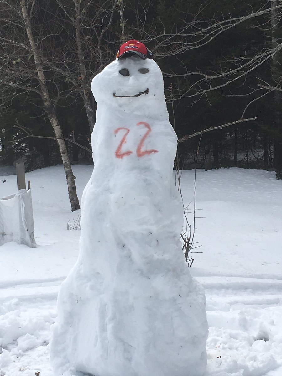 JoeyLoganoFaNN's tweet image. Also what happens when there's a snowstorm during race season 🤷🏻‍♀️2️⃣2️⃣❤️💛 @joeylogano @Team_Penske #novascotiaspring