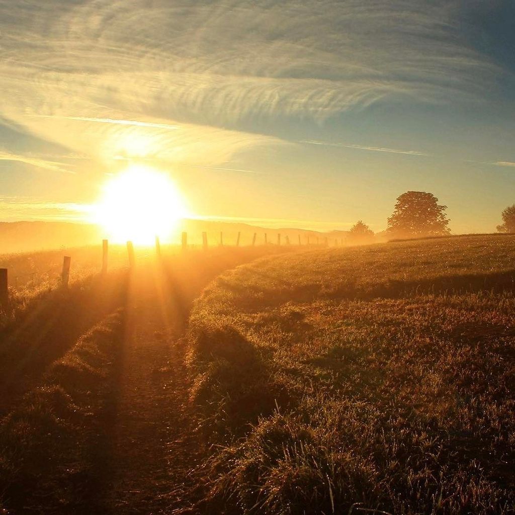 SocialEffect_US's tweet photo. The Sun has Risen. Has your businesses online presence? #WebGoals #socialmediatips #socialmediamanagement #seo #tw… https://t.co/tSRbn0cHpM https://t.co/UF2f73HG6e
