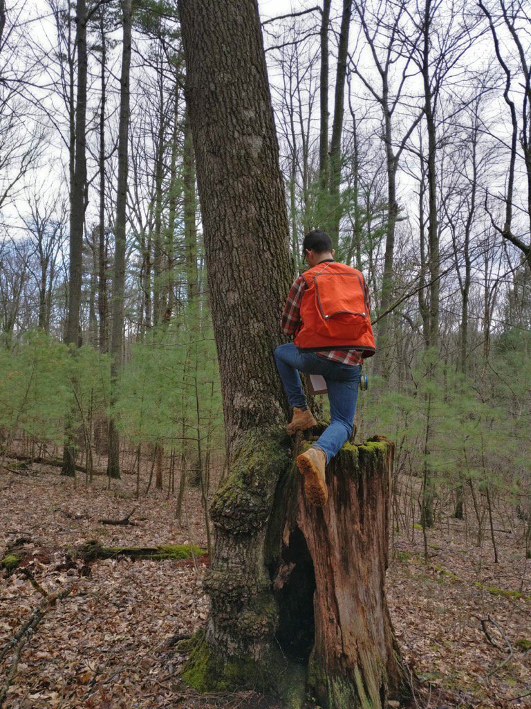 PSU_Forester's tweet photo. Now that's a #psuforestry student going above and beyond to get the job done https://t.co/AWNGushiGC