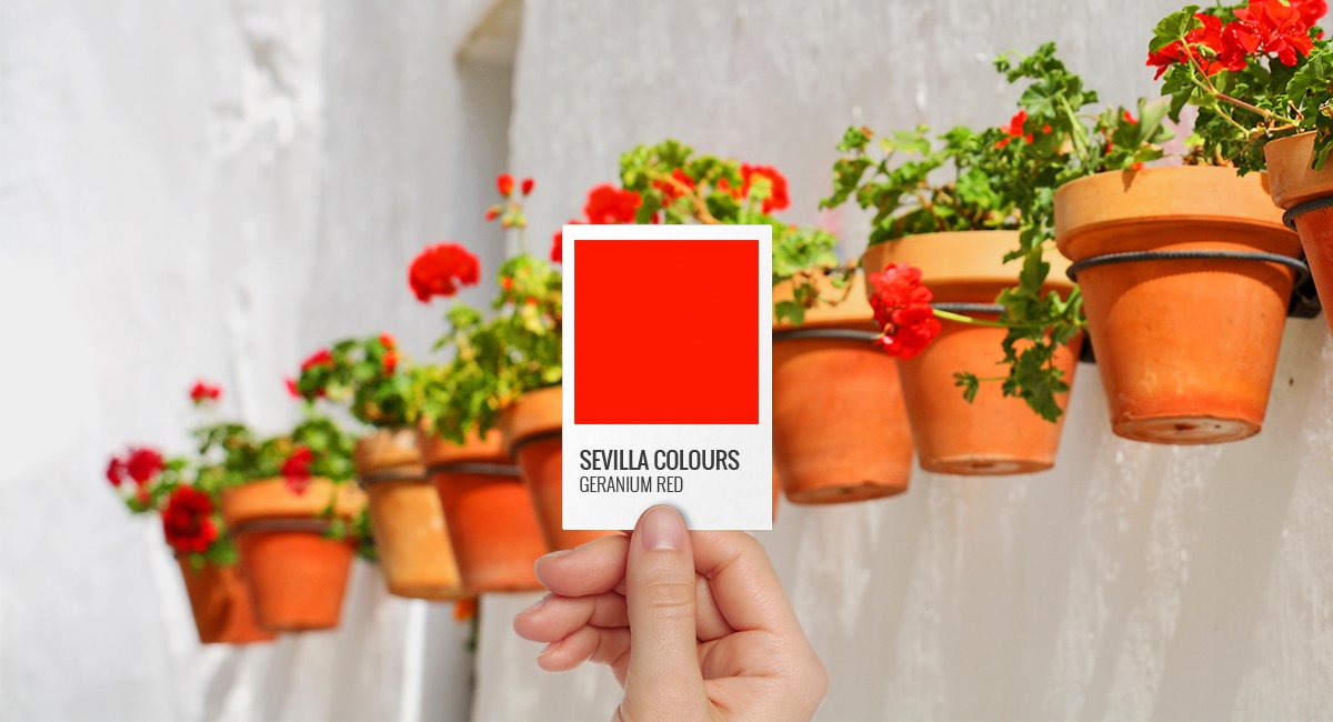 visitseville's tweet photo. #SpringInSeville brings out special colours everywhere, 'Geranium Red' is a perfect example https://t.co/cfDIzFh5z0 #SevillaColours https://t.co/SooeWUI7By
