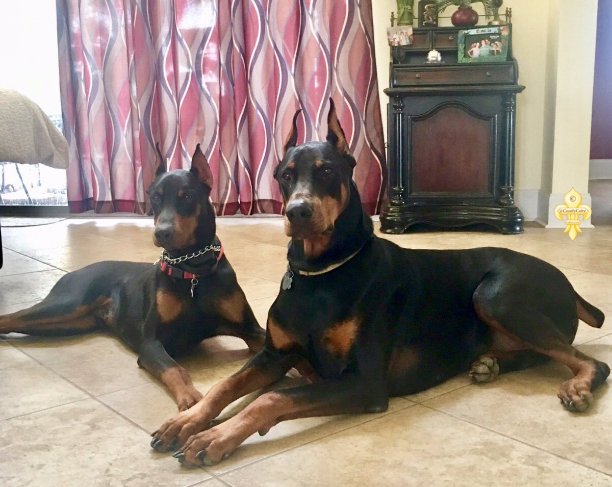 Jogender Kumar Rao (@jogenderkumarr1) on Twitter photo 