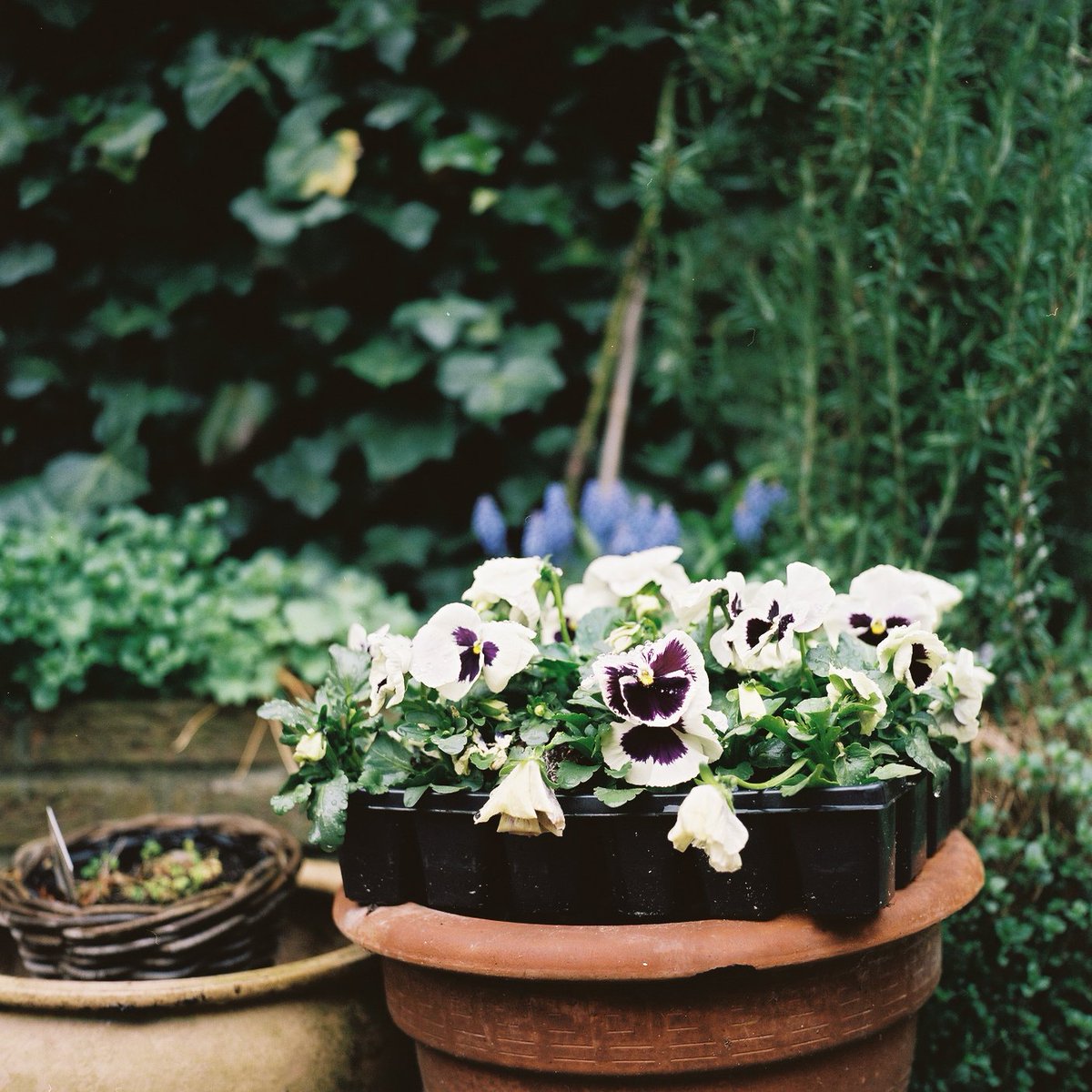 5 hour turn around time dev&amp;scan for 3 rolls by <a href="/ColorUtrecht/">Color Utrecht</a> is pretty sweet. Glad to say my new Yash is in ace condition :) #BelieveInFilm