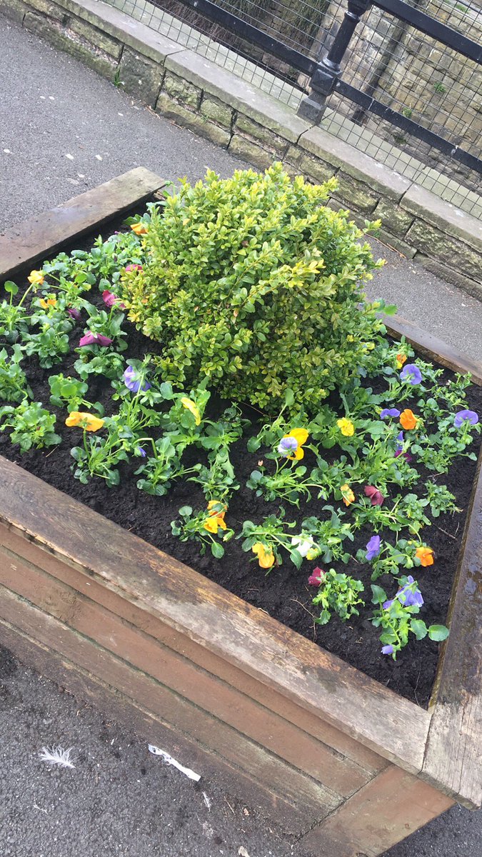 Tesco5406's tweet photo. Gardening skills from one of our colleagues to brighten up the flower beds #community @patbyrne99 @PaulaMatthews2 @shirl200 🙌🏽☀️ https://t.co/lCgNZnxnkF