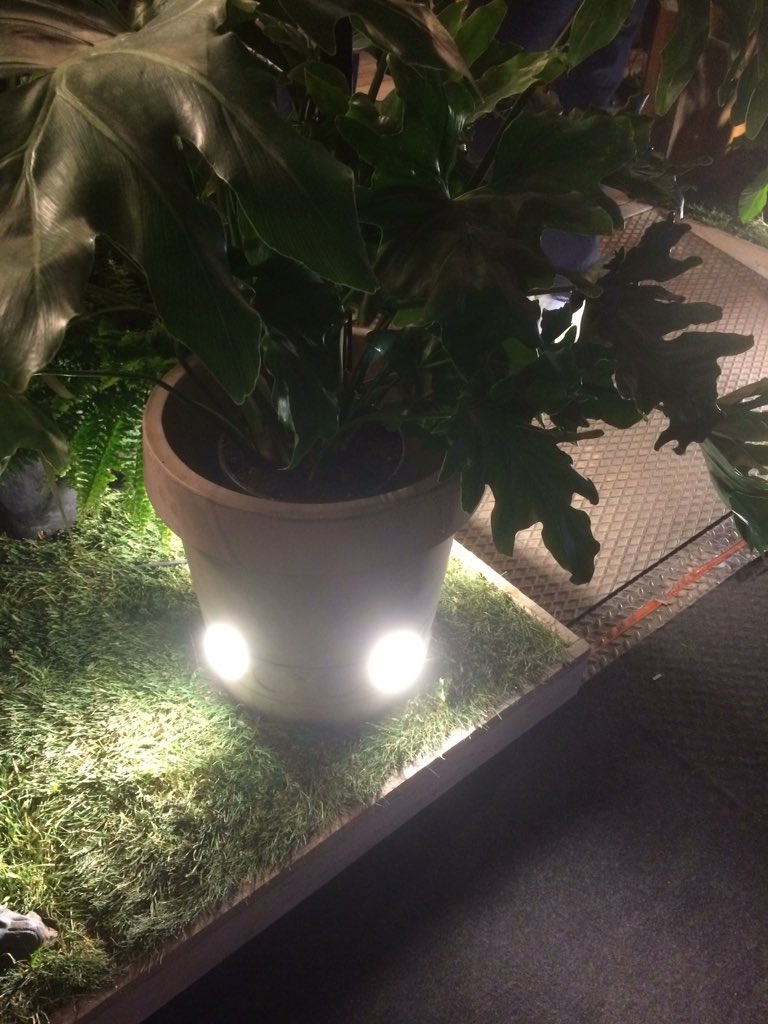 Malisa Lighting tweet media