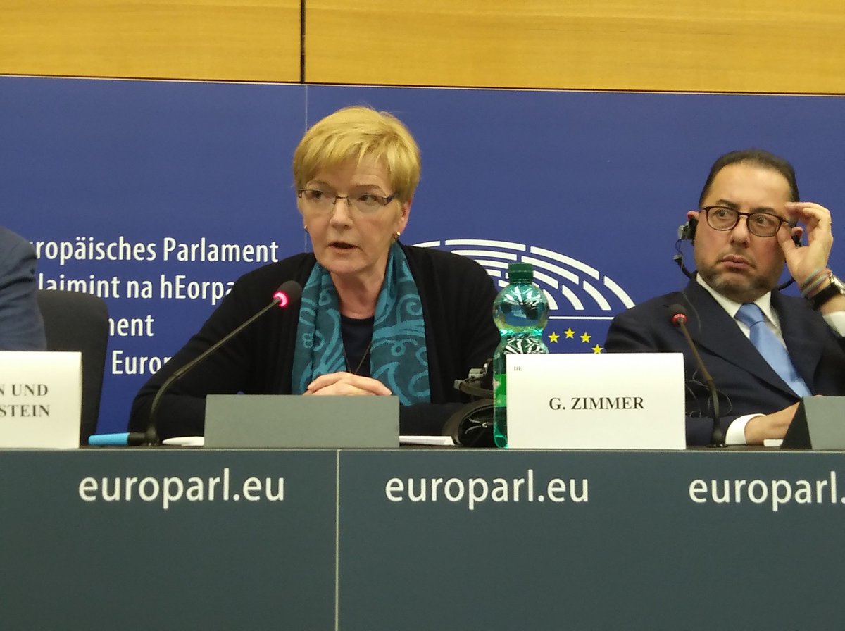 Left_EU's tweet photo. "We will put pressure to the @EU_Commission to act on infringement of #Humanrights in #Hungary which is unacceptable" - @GabiZimmerMEP https://t.co/mwLJLORO1M
