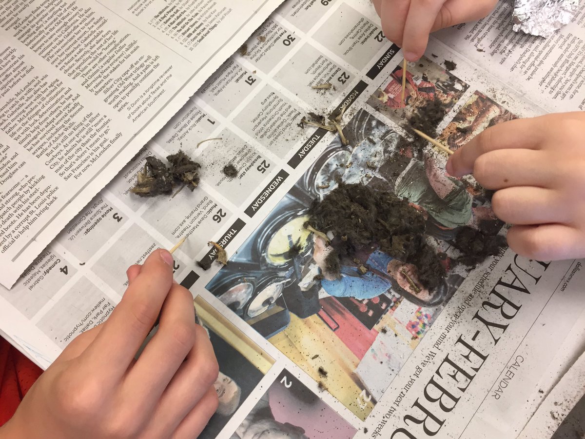 3rd Grade Teachers tweet media