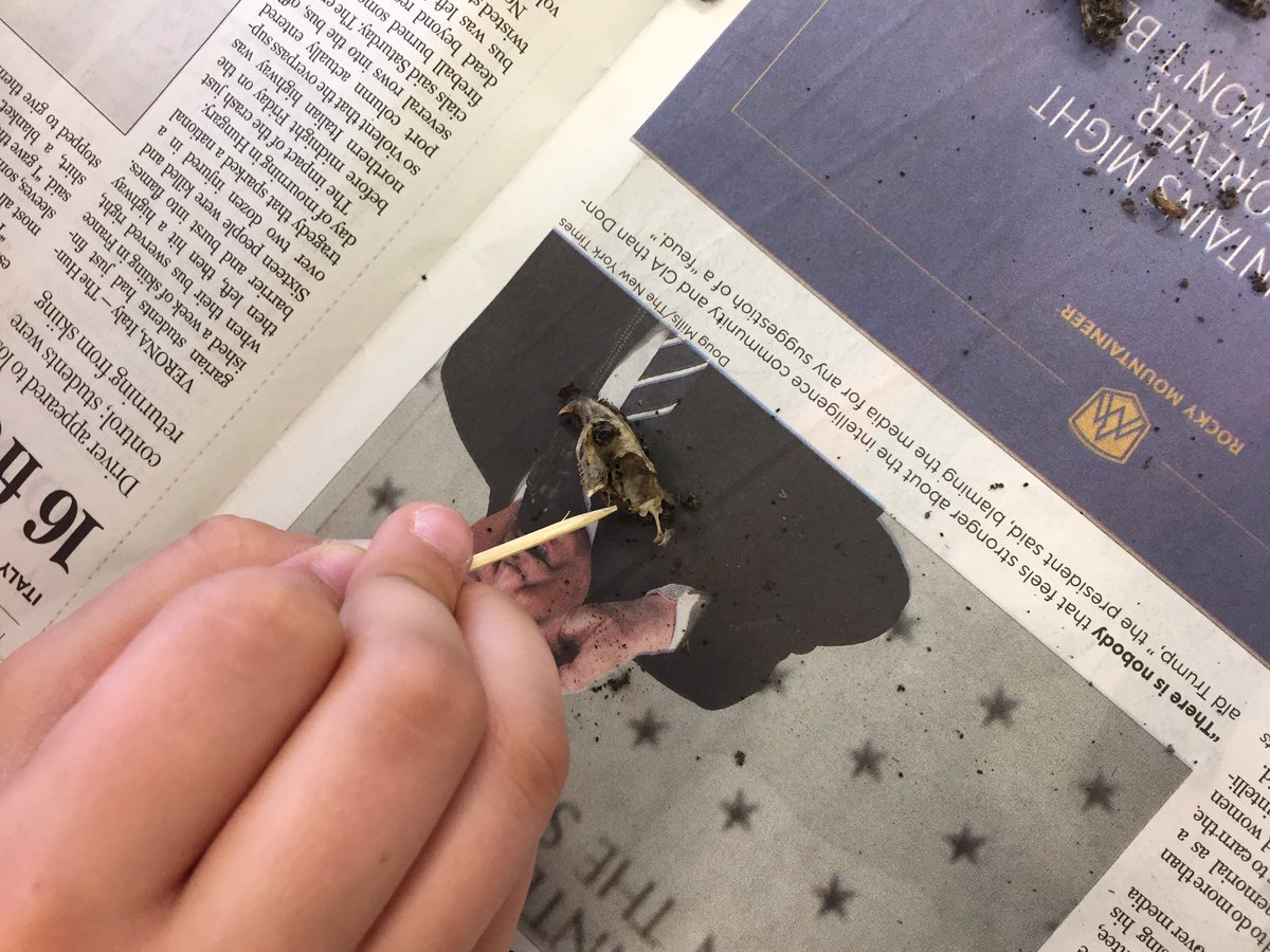 3rd Grade Teachers tweet media