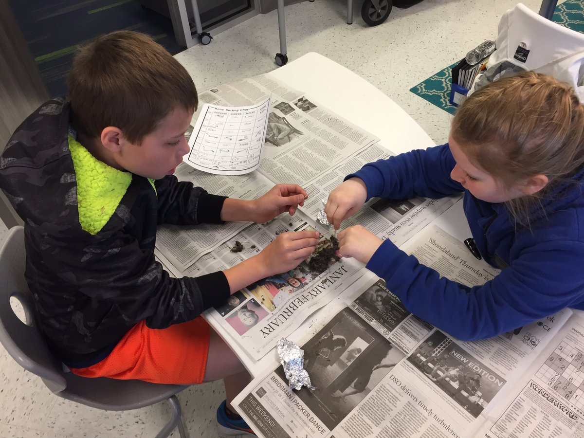 3rd Grade Teachers tweet media