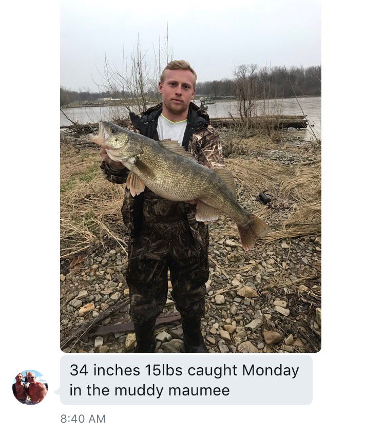 Maumee_river's tweet photo. @hezakiah69yupp sent in this Moose what a catch https://t.co/zfbrBG54uD