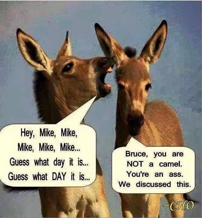 teamjackass2005's tweet photo. Happy Hump Day! https://t.co/fnS3qVt91z