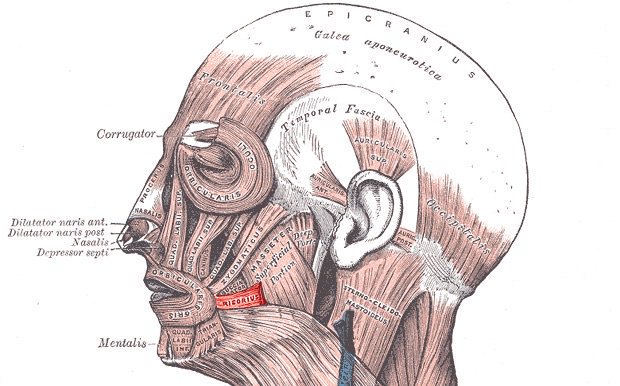 Fernando Goitia tweet media