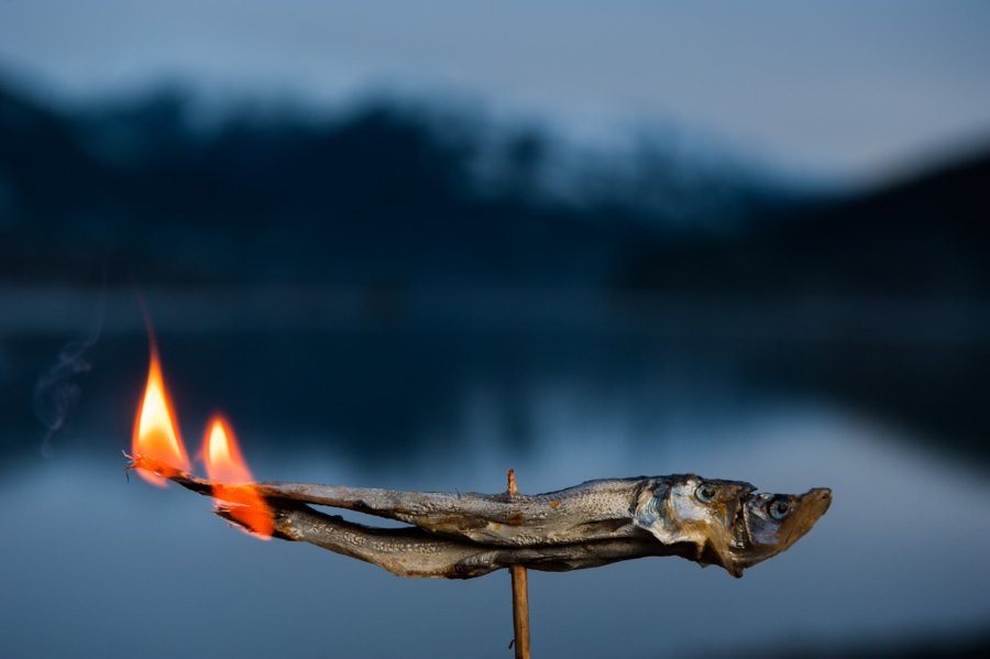 Toque & Canoe (@toquecanoe) on Twitter photo By the Light of the Candlefish—a new post by @margopf for T&C. (Photo by <a href="/PaulColangelo/">Paul Colangelo</a>) #aboriginalbc #canada toqueandcanoe.com/2017/04/04/by-… By the Light of the Candlefish—a new post by @margopf for T&C. (Photo by <a href="/PaulColangelo/">Paul Colangelo</a>) #aboriginalbc #canada toqueandcanoe.com/2017/04/04/by-…