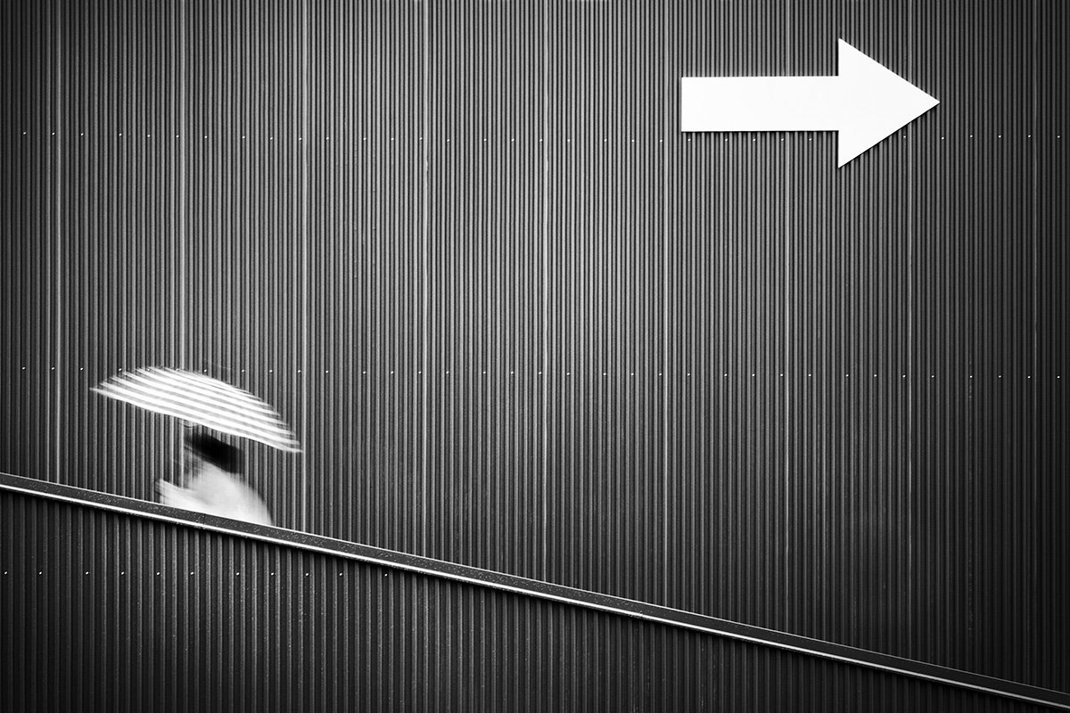 ||||||||||||||||||||||||||| ⇨
#MarioMencacci