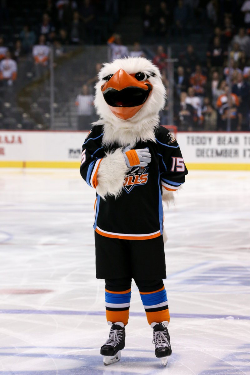 San Diego Gulls - Over the weekend Gulliver and the Gulls