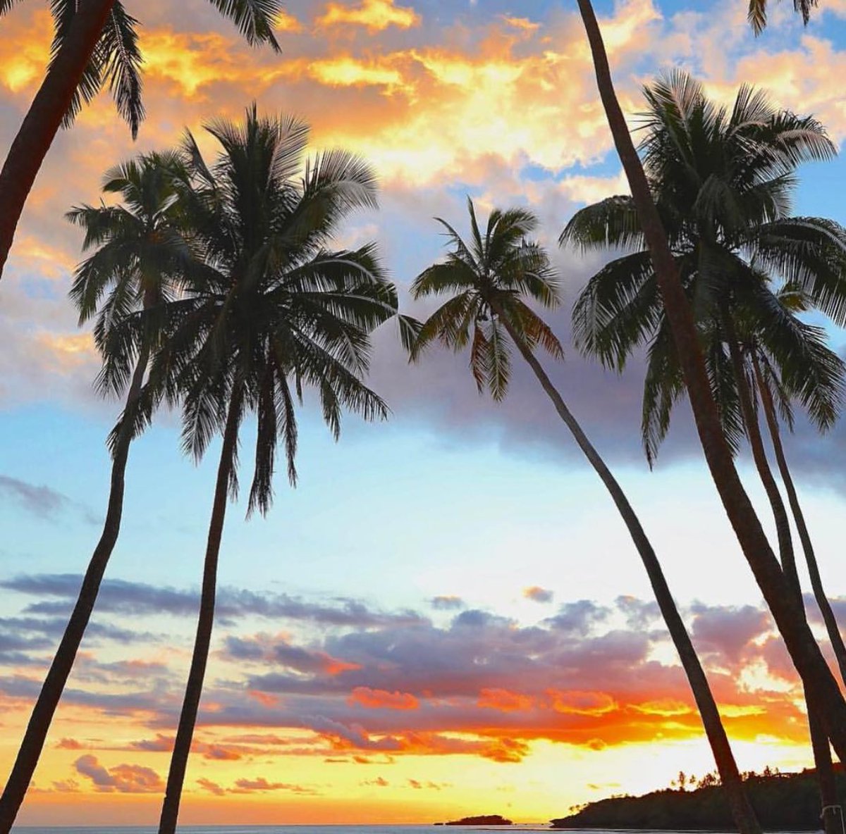 Take yourself to a warmer climate with #PrestigeJets 🛩 Travel in style and get the 5* service that you deserve. prestigejets.co.uk