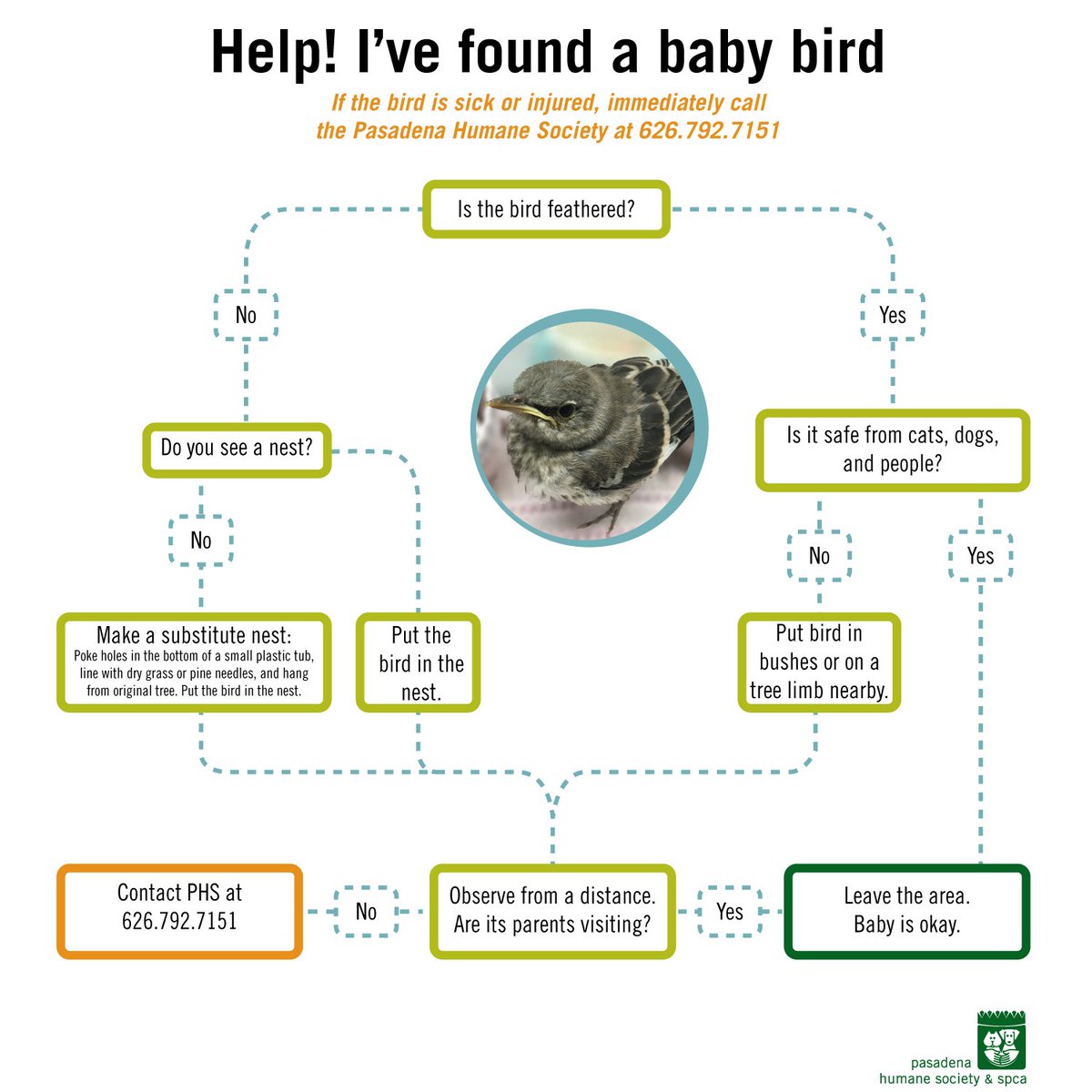 Baby Flow Chart