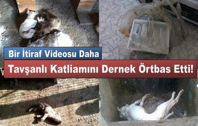 Kan Donduran İtiraf ”Tavşanlı Belediyesi ve Sohayko Birlikte” heryerdekanvar.net/kan-donduran-i…