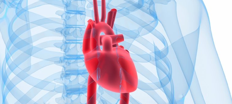 Consultant360's tweet image. Simple Grip Test Could Predict Cardiometabolic Risk // ow.ly/5mgl30aB9oX #CONcardiometabolic #cardiometabolicrisk #griptest #strength