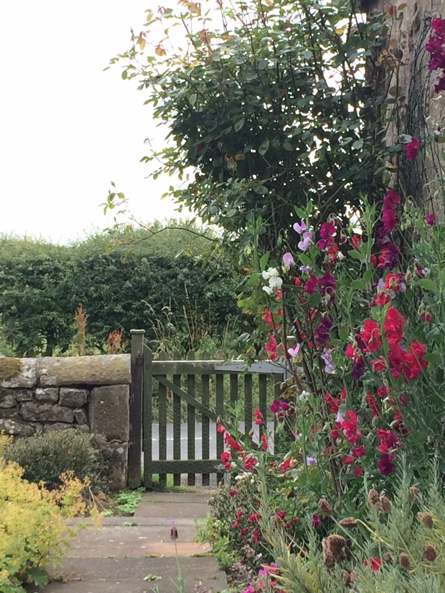 ChattonEdge's tweet image. Never want to leave this place😕
Now back home in Yorkshire after a lovely few days in #Northumberland #nowherebetter