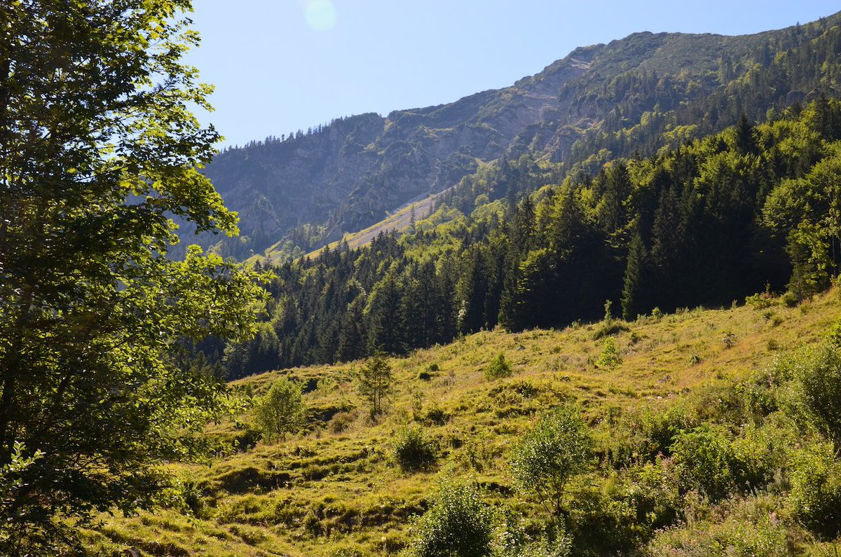 Kolberbraeu's tweet photo. Tipps für leichtere #Wanderungen #Bad_ Tölz: https://t.co/9U2Da3dJvr https://t.co/faAGGc9VT7