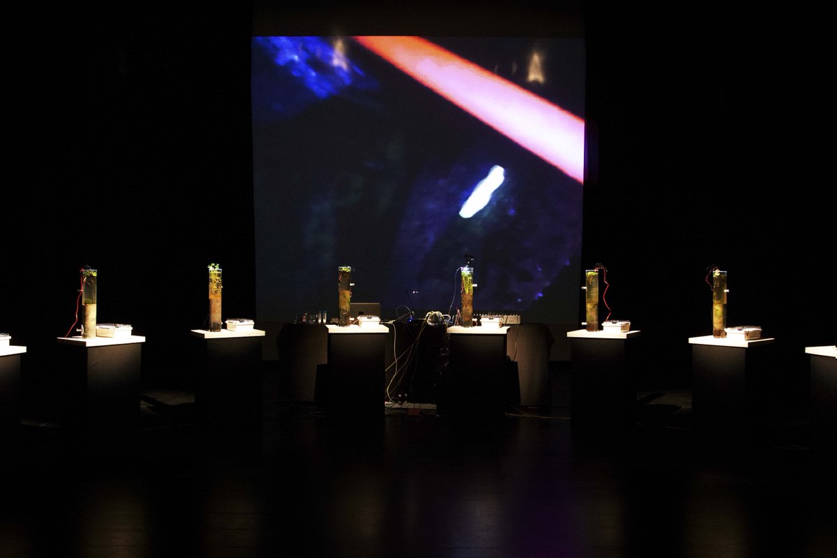 Are algae audible? <a href="/Sabina_Ahn/">Hyoju Sabina Ahn</a> performs her microbe-interactive sound piece Sonomatter at next week's biotalk goo.gl/aAEDn3