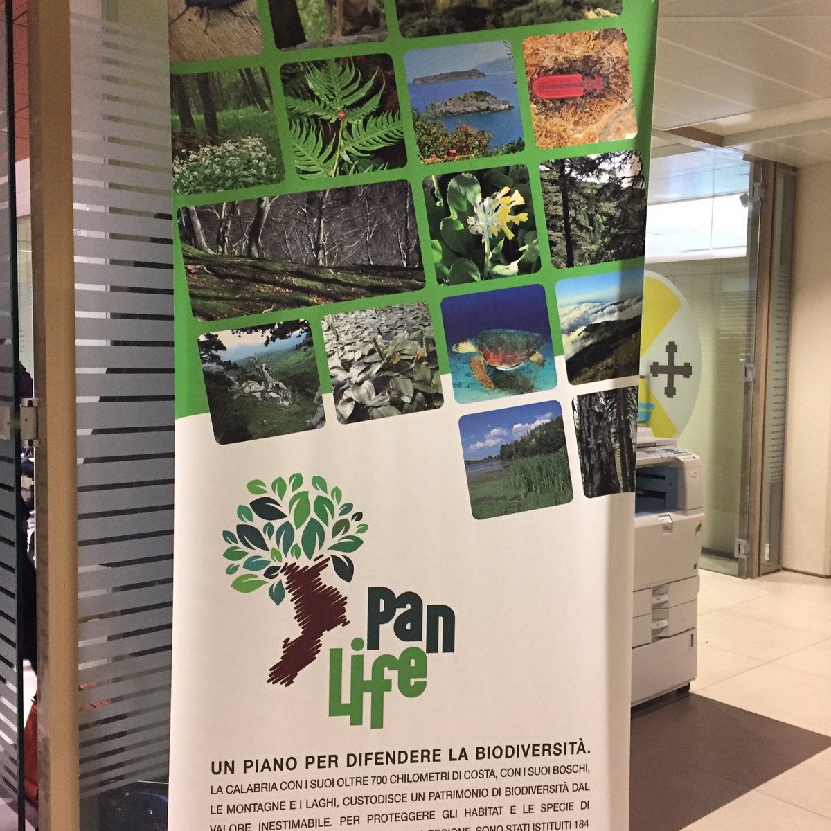 LIFEprogrammeIT's tweet image. Elaborate 98 misure di conservazione specifiche fuori aree protette e aggiornamenti piani di gestione #SIC con #PANLIFE Regione #Calabria